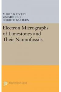 Electron Micrographs of Limestones and Their Nannofossils - Monographs in Geology and Paleontology