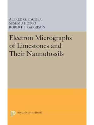 Electron Micrographs of Limestones and Their Nannofossils - Monographs in Geology and Paleontology