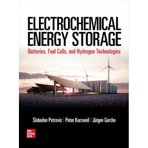 Electrochemical Energy Storage