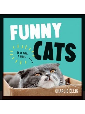 Funny Cats A Hilarious Collection of the World's Funniest Felines and Most Relatable Memes