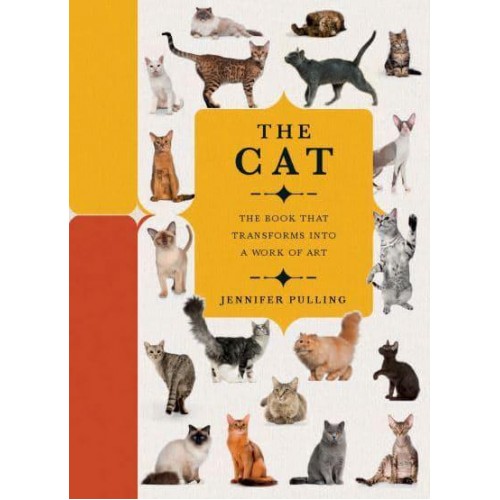 The Cat The Book That Transforms Into a Work of Art - Paperscapes