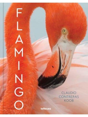 Flamingo - teNeues Verlag