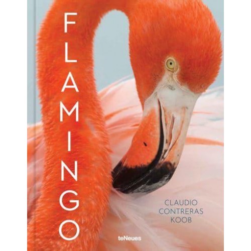 Flamingo - teNeues Verlag