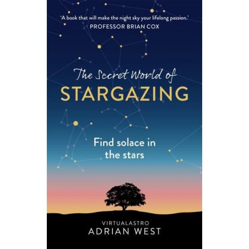 The Secret World of Stargazing Find Solace in the Stars