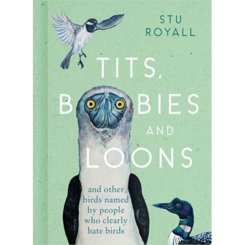 Tits, Boobies and Loons and Others Birds Named by People Who Clearly Hate Birds