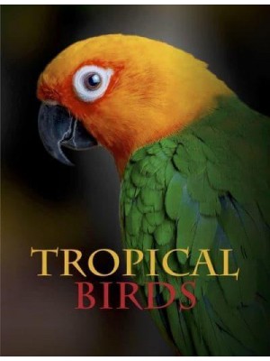 Tropical Birds - Animals