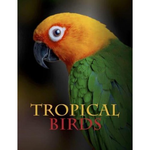 Tropical Birds - Animals