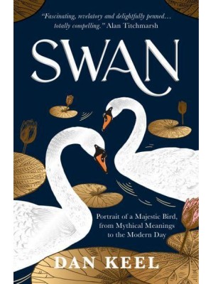 Swan Portrait of a Majestic Bird, from Mythical Meanings to the Modern Day