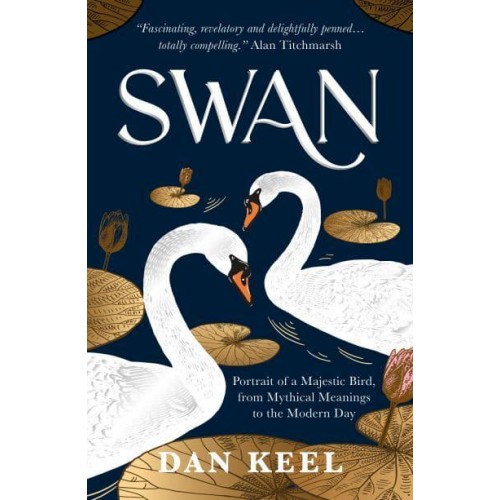 Swan Portrait of a Majestic Bird, from Mythical Meanings to the Modern Day