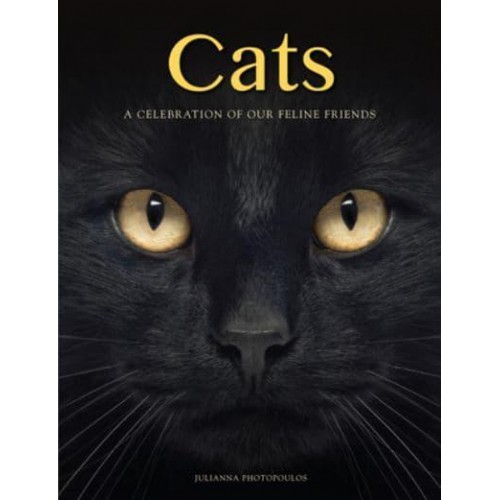 Cats A Celebration of Our Feline Friends - Animals