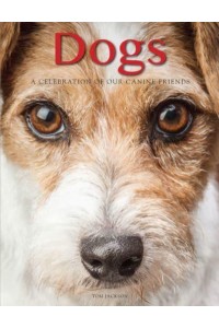 Dogs A Celebration of Our Canine Friends - Animals