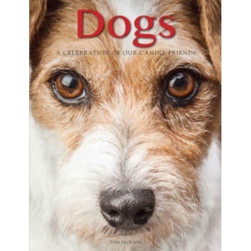 Dogs A Celebration of Our Canine Friends - Animals