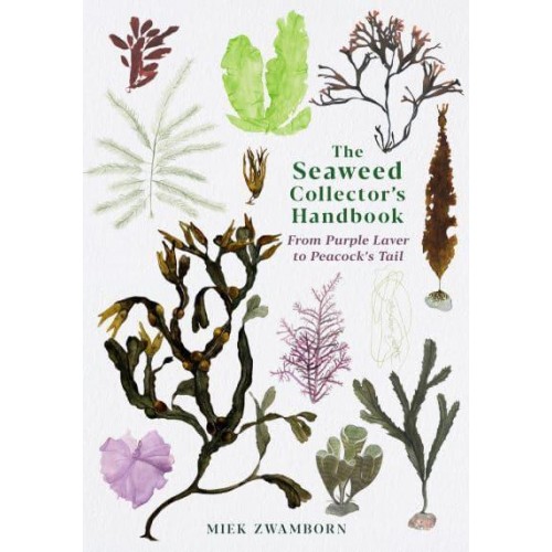 The Seaweed Collector's Handbook From Purple Laver to Peacock's Tail