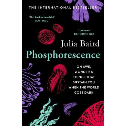 Phosphorescence On Awe, Wonder and Things That Sustain You When the World Goes Dark