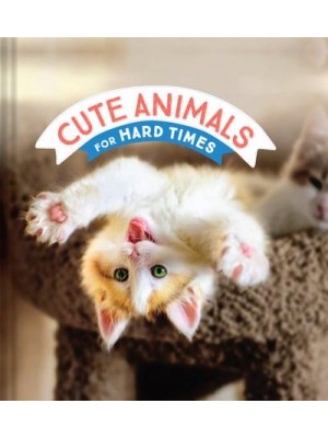 Cute Animals for Hard Times