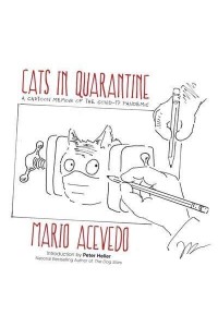 Cats in Quarantine