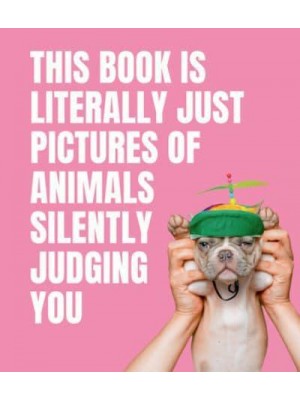 This Book Is Literally Just Pictures of Animals Silently Judging You