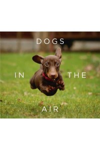 Dogs in the Air