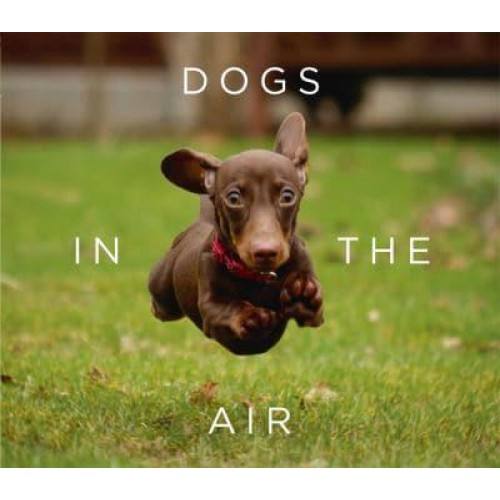Dogs in the Air