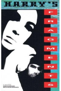 Harry's Fragments A Novel of International Puzzlement