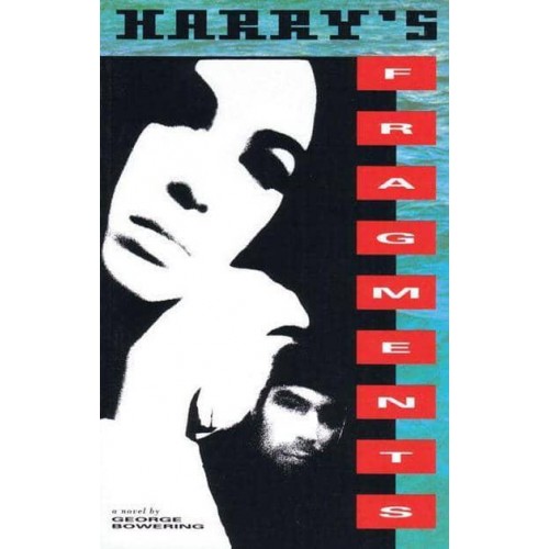 Harry's Fragments A Novel of International Puzzlement