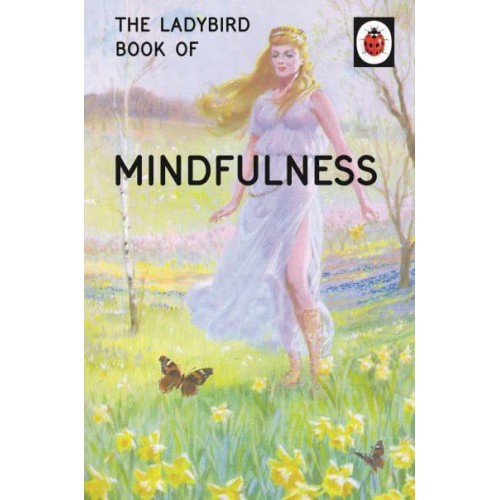 Mindfulness - The Ladybird Books for Grown-Ups Series