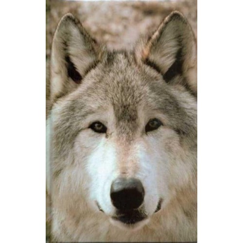 Wolf Blank Journal - Nodin Press Blank Journals