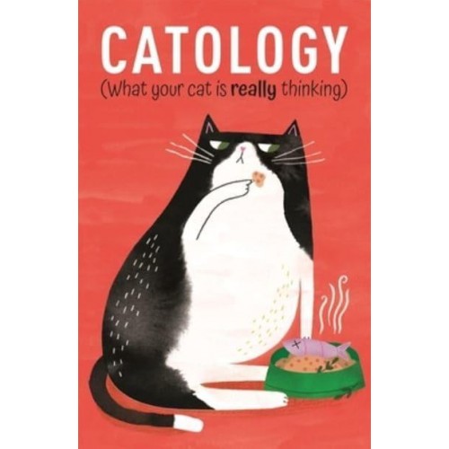 Catology What Your Cat Is Really Thinking
