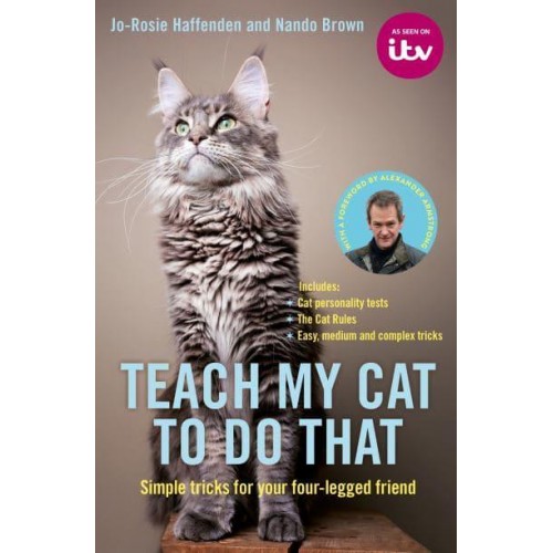 Teach My Cat to Do That Simple Tricks for Your Four-Legged Friend