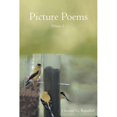 Picture Poems: Volume 2