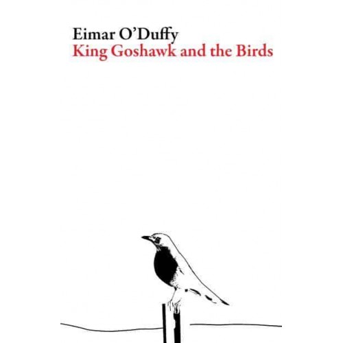 King Goshawk and the Birds - Irish Literature Series