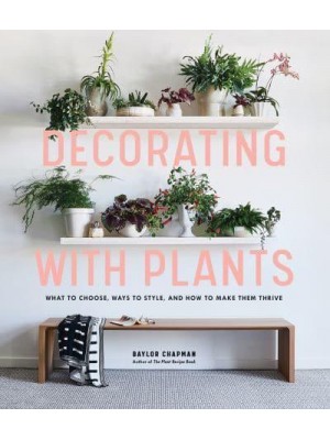 Decorating With Plants What to Choose, Ways to Style, and How to Make Them Thrive