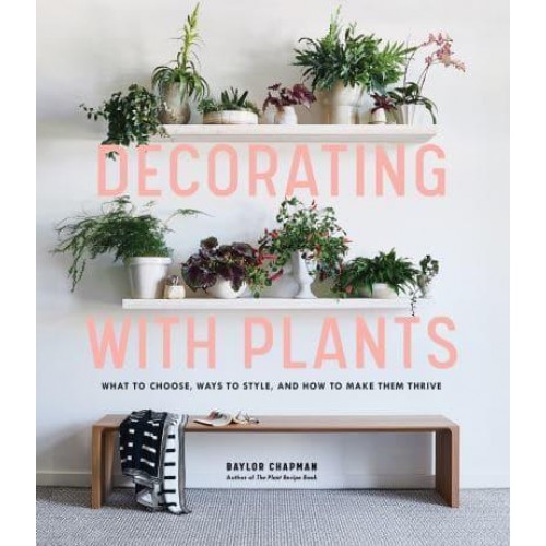 Decorating With Plants What to Choose, Ways to Style, and How to Make Them Thrive