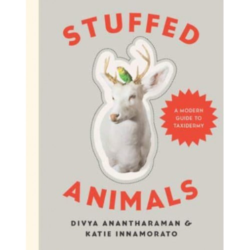 Stuffed Animals A Modern Guide to Taxidermy