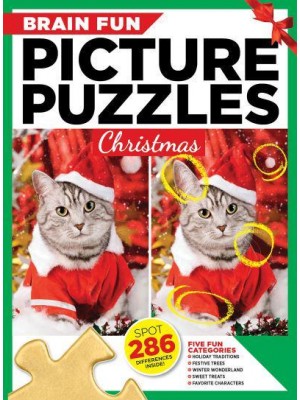 Brain Fun Picture Puzzles: Christmas