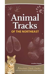 Animal Tracks of the Northeast Your Way to Easily Identify Animal Tracks - Adventure Quick Guides