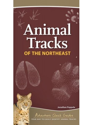 Animal Tracks of the Northeast Your Way to Easily Identify Animal Tracks - Adventure Quick Guides