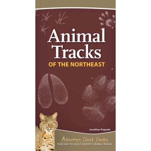 Animal Tracks of the Northeast Your Way to Easily Identify Animal Tracks - Adventure Quick Guides