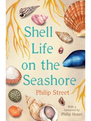 Shell Life on the Seashore