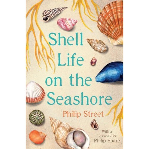 Shell Life on the Seashore