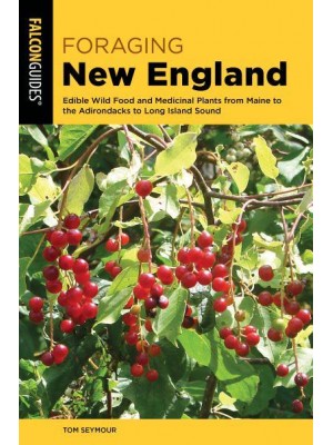 Foraging New England Edible Wild Food and Medicinal Plants from Maine to the Adirondacks to Long Island Sound - FalconGuides