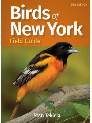 Birds of New York Field Guide - Bird Identification Guides