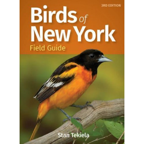 Birds of New York Field Guide - Bird Identification Guides
