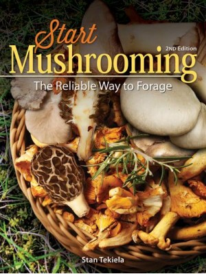 Start Mushrooming The Reliable Way to Forage