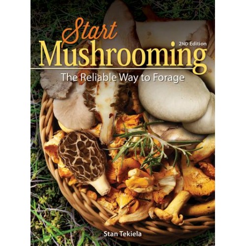 Start Mushrooming The Reliable Way to Forage