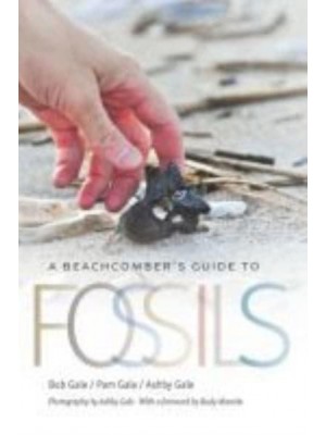 A Beachcomber's Guide to Fossils - Wormsloe Foundation Nature Book