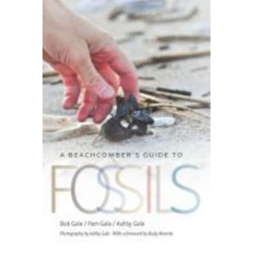 A Beachcomber's Guide to Fossils - Wormsloe Foundation Nature Book