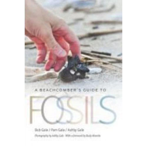 A Beachcomber's Guide to Fossils - Wormsloe Foundation Nature Book
