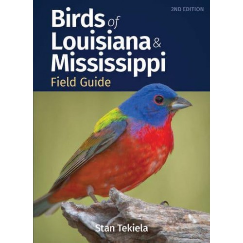 Birds of Louisiana & Mississippi Field Guide - Bird Identification Guides