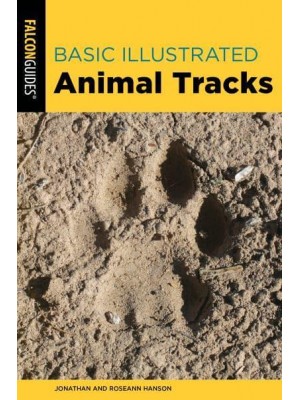 Basic Illustrated Animal Tracks